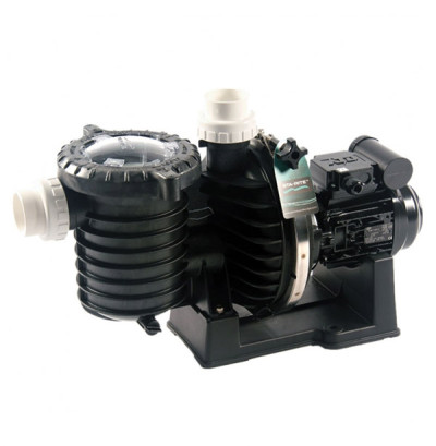 Sta-Rite 5P6R Pumpe, 29 m³/h, 230 V
