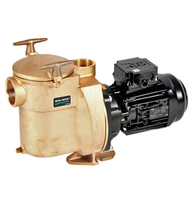 Sta-Rite 5BR Pumpe, 15 m³/h, 400 V