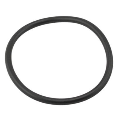 O-Ring für Sta-Rite 5P2R O-Ring für Sta-Rite 5P2R