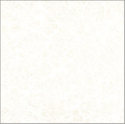 Elbe Exclusive Line PVC Schwimmbadfolie | Pearl White | Breite 1,65m | L 25m