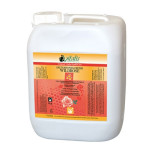 Vitalis Sauna-Honigcreme Wildrose, 6 Kg Kanister Vitalis Sauna-Honigcreme Wildrose, 6 Kg Kanister