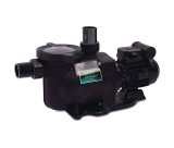 Sta-Rite Schwimmbadpumpe, Supermax S5P1R, 230 V | 400 V Sta-Rite Schwimmbadpumpe, Supermax S5P1R, 230 V | 400 V