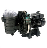 Sta-Rite 5P2R Pumpe, 20 m³/h, 230 V