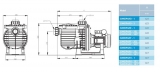 Sta-Rite 5P6R Pumpe, 16,5 m3/h, 230 V