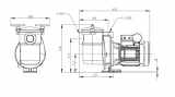 Sta-Rite 5BR Pumpe, 15 m3/h, 230 V