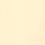 Elbe Teichfolie - Natural Supra | Breite 2m | Sand